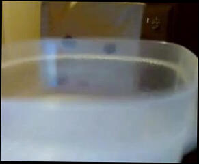 Video 145443901: bbw woman, bbw whore, bbw cumshot, woman cums, straight woman, woman eats, cum drooling