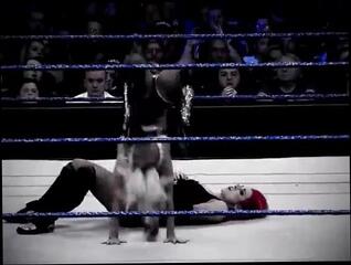 Video 325823501: straight monster, straight celebrity