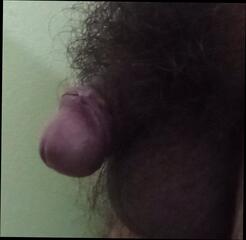 Video 1606180931: gay teen cumshot, penises