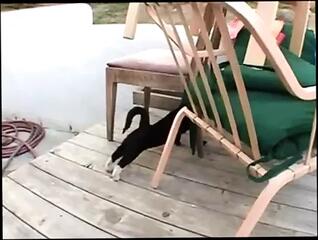 Video 248092801: taylor rain, dp double anal threesome, double penetration dp threesome, dp mmf threesome, dp babe double penetrated, double blowjob threesome, straight threesome, chick first, pornstar