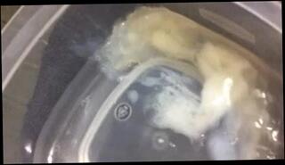 Video 765761701: pump, masturbation cum swallowing, gay cum swallow, amateur cum swallow, man cum swallow, lady