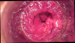 Video 784647001: gay anal, pink anal