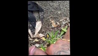 Video 1570838823: solo male piss, amateur piss sex, piss soaked panties, lady pissing, hardcore piss, piss rough, pissing hard