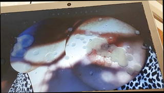 Video 1570229961: tied gagged, man gay, gay hd