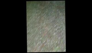 Video 1592512913: pissing peeing fetish, solo pee fetish, pee pissing outdoor, male pov pee, solo amateur trans, amateur public piss, pissing old young