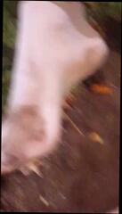 Watch the video about Clean my muddy feet