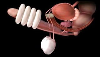 Video 1298232801: milf massages cock, doctor massage, massage mistress, milf massage big, homemade milf big cock, hand cock massage, indian cock massage, pornstar massage, homemade mature milf, doctor straight, massage first time