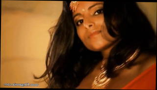 Video 1224329201: straight arabian