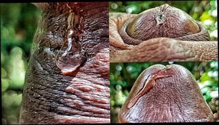 Video 1566718293: bbc solo play, solo male bbc, dick solo masturbating cumming, solo male masturbation cumshot, solo masturbation moaning, solo big dick cumshot, solo amateur cum, solo guy moaning, solo masturbation extreme, solo masturbation creamy, horny male solo, cum close solo, dripping solo, wet solo masturbation, amateur solo hd, bbc precum, solo male huge, solo natural