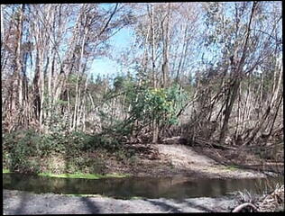 Video 1618193821: femboy solo masturbation, femboy twink cums, twink femboy gay, femboy solo ass, amateur femboy solo, twink solo cumshot, solo twink boys, twink solo big cock, femboy blowjob cum, gay twink latino boys, twinks outdoor blowjob, man twink boy, hottest amateur solo, solo masturbation hd, very hot cumshot