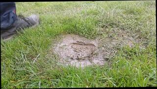 Video 1619568843: male feet foot, solo foot, solo gay amateur, boots foot, foot crush, dirty boots