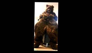 Video 1657913413: fetish gay solo, amateur solo handjob cumshot, wanking big cock solo, huge cock solo cum, solo dick wanking, solo male huge cumshot, bear solo cum, wild fetish