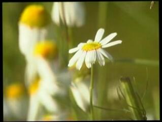 Video 5898404: teen spanked, german spanking