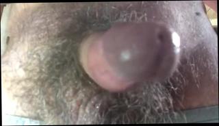 Video 825131604: dick swinging, dick face, dick play, gay bear