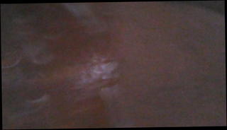 Video 937413301: amateur cock milking, milk masturbates, milking gay, milks big black cock, mouth milk, milk hd