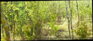 Video 1609018811: shemale sissy compilation, sissy anal compilation, fetish sissy, sissy anal toy, anal porn compilation, mature shemale compilation, sissy spanking, ladies compilation, porn compilation hd, sissy outdoor