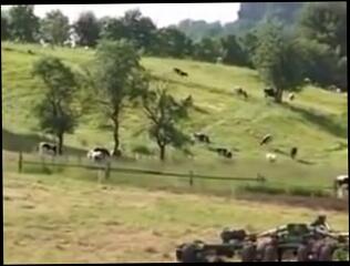 Video 133434104: milk maid, softcore big tits, german softcore, funny tits, big tits outdoor