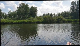 Video 1569222181: horny gay bear, hot horny gay, horny handjob, horny outdoor, hd horny