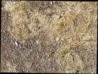 Video 1584116331: wife joi, hot cum joi, big cock joi, joi handjobs, joi masturbation, gay joi, fuck joi, blowjob joi, amateur joi, cheating joi, man joi, love joi, guy joi, british joi, public joi, young joi, joi hd, gay fucking men dicks, gay hot hunk fucks, fuck gay bear cum, dick old gay man, big dick latino cum, dick outdoor cums, horny hot dick, wife helps, dick crazy