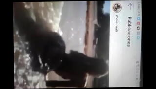 Video 929299005: shemale porno, porno pornstar, shemale porn, shemale public