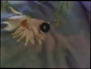 Video 133266401: sex toys gay porn, gay porn man sex, amateur sex toy, gay porn locker