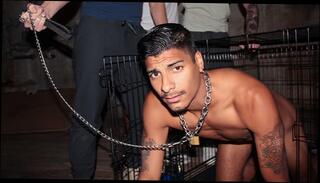 Video 1624021903: domination submission humiliation, gay dominant submissive, dominate gay twinks, twink frat, caged submissive, twinks nude gay sex, twink gay porn sex, twink hardcore gay sex, twink group gay sex, big dick twink gay, twink handjob cumshot, dominant muscle hunk, submissive rough sex, erotic humiliation, public humiliation sex, gay twink plays, pornstar dominic, dog cage, submissive pig, breeds submissive, anal