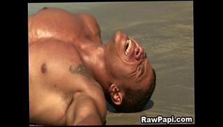 Video 156912575: studs bareback sex, bareback gay studs, stud barebacks ass, stud barebacks cock, studs anal bareback, latino gay bareback sex, gay barebacking action, gay bareback ass pounding, gay barebacking hard anal, gay bareback ass hole, cock sucker barebacked, great bareback