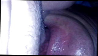 Video 1120164401: australian bbw, cunnilingus mature, chicks cunt, cunt eating, fat cunt, straight australian