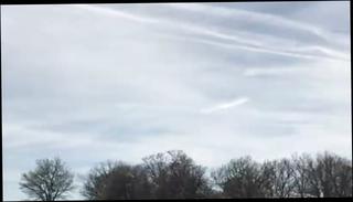 Video 409072301: caught blowing, caught park, gay man public, blow job