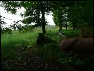 Video 78364501: gay man public, gay flash