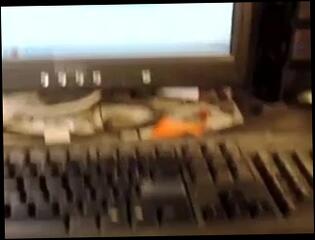 Video 180533501: machine girl, machine webcam, model, straight girl