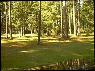 Video 15882301: crossdress porn, shemale crossdresser, crossdresser park