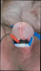 Video 340486501: cock arse, gay man cum, hands cum, one cock