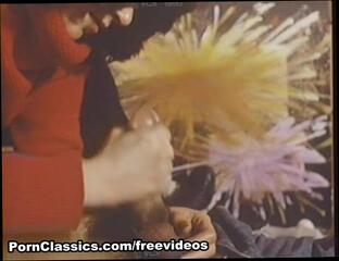 Video 81336404: herschel savage, vintage handjob, vintage blowjob, swingers, sexual