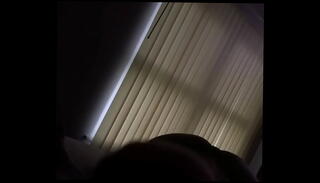 Video 1365412145: amazing swallow