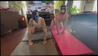 Video 1500384005: pet puppy