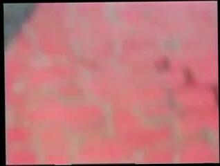 Video 55272601: gay porn guy fucks, gay fucking shemale, outside gay porn, good cum shot, cum load