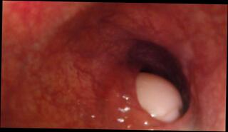 Video 1606876443: fetish gay solo, vore pov, solo male pov, pov anal toy, solo amateur toys, shoves dildo deep, giant vore, insertion pov