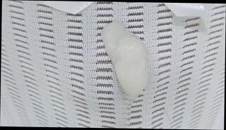 Video 1618825641: asian ladyboy solo cum, asian shemale solo cum, solo shemale masturbating, asian shemale solo cumshot, solo shemale amateur, panties solo masturbation, japanese solo cum, shemale lingerie solo, solo masturbation hd, shemale pants