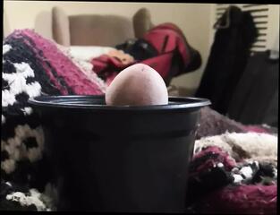 Video 1591317981: fetish gay solo masturbation, dick solo masturbating cumming, solo cock masturbation cum, wanking big cock solo, gay love solo masturbation, amateur solo wanking, solo handjob cum, european solo masturbation, penis fetish, solo masturbation hd, mexican solo, latino solo, fetish natural, masturbation erect penis, funny handjob