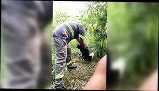 Video 1659191301: squirting amateur fucking, anal fucking squirting, amateur couple squirting, anal sex squirting, oral squirt, squirt daddy, squirting porn, gay squirt, toilet squirt, men squirting, squirt hd