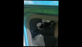 Video 1626376993: fetish solo masturbation, amateur babe solo masturbation, masturbation solo male babe, solo male masturbation cumshot, solo big dick cumshot, hardcore solo masturbation, solo men masturbating, solo public masturbation, solo muscular male, caught jacking