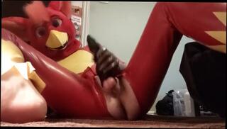 Video 1020222203: furry solo, solo amateur toys, solo anal toy, gay anal solo, solo male toy, toy orgasm, toys self