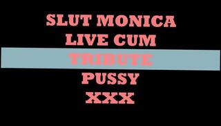 Video 191611601: gay cum slut, gay man cum, dress cum, red slut