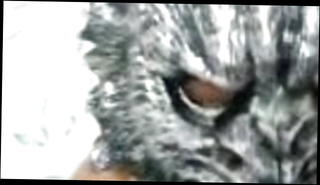 Video 1569735281: dick bareback sucking cock, bareback fuck suck cock, crossdresser sucking cock, ladyboy fucks guy bareback, bareback black cock fucks, bareback shemale fucking hot, bareback amateur sucking, big dick shemale bareback, sexy shemale bareback, couple bareback fucking, crossdresser huge cock, mature shemale bareback, man crossdresser, hot bitch