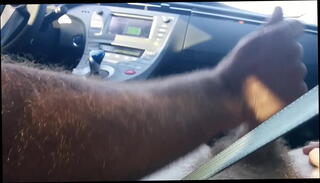 Video 466119335: gay hand job, gay ex