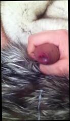 Video 292750301: gay porn fucking, gay fuck masturbation, fuck hd porn, fuck cum, destroyed cum, one cum