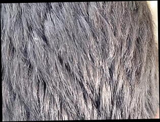 Video 1596922361: twink boy pov, twink pov fuck, twink boys sucking gay, gay twink sucking dick, twink gay boys cum, teen twinks fucking sucking, twink amateur sucking dick, teen twink sucks cock, pov blowjob cock sucking, straight twink sucking dick, pov blowjob cum facial, twink boy cumshot gay, twinks gays boys masturbations, twinks eating cum gay, twinks fucking student, cock sucking young twink, twink sucking big dick, pov dick deep throats, teen twink sperms, amateur pov outdoor fuck, hd pov teen fuck, twink cum face, british twinks sucking, twink car blowjob