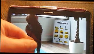 Video 1506412701: girl friend big cock, man gay