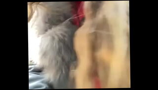 Video 1341253745: webcam porn cam, car webcam, public webcam